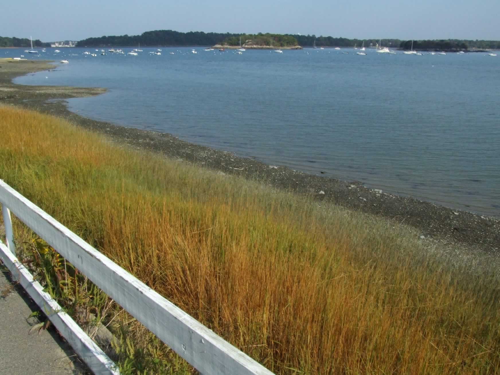 Hingham Harbor 3